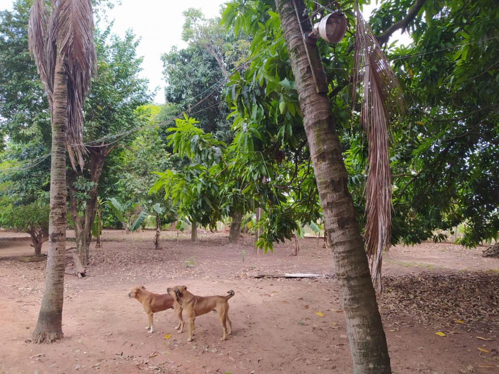 Comprar Rural / Chácara em Araçatuba R$ 750.000,00 - Foto 3