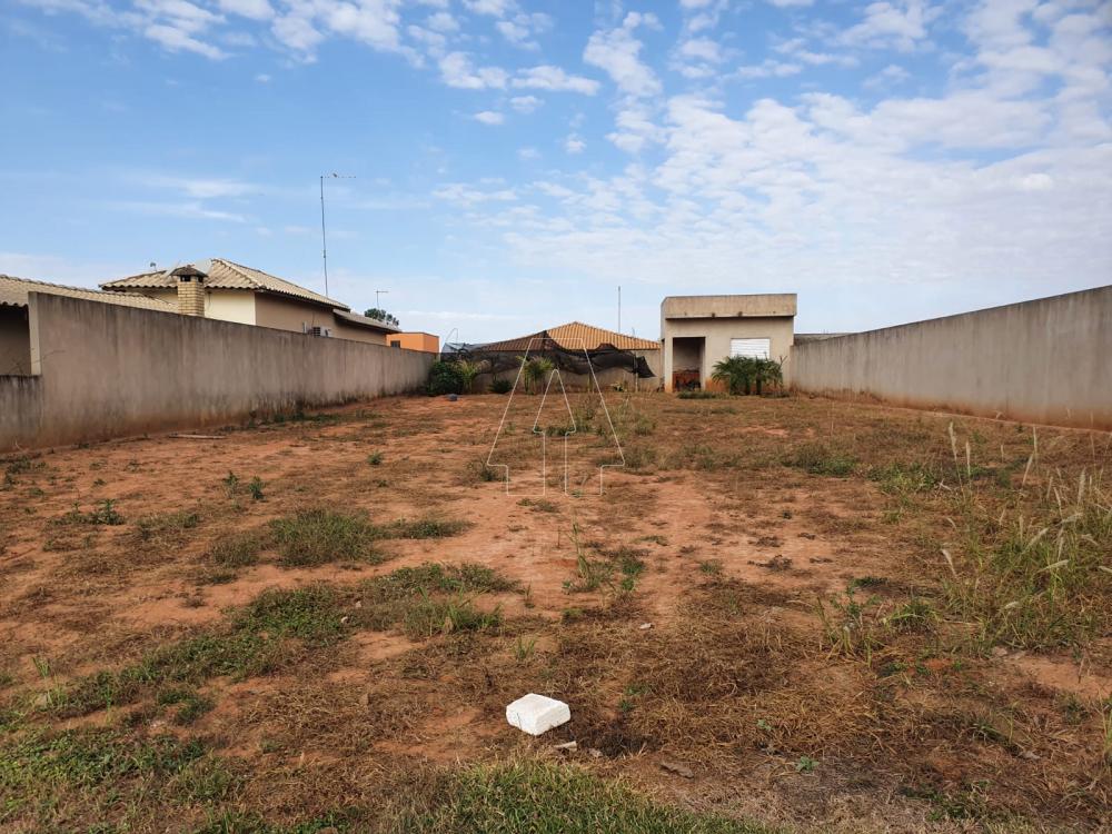 Comprar Terreno / Condomínio em Araçatuba R$ 170.000,00 - Foto 2