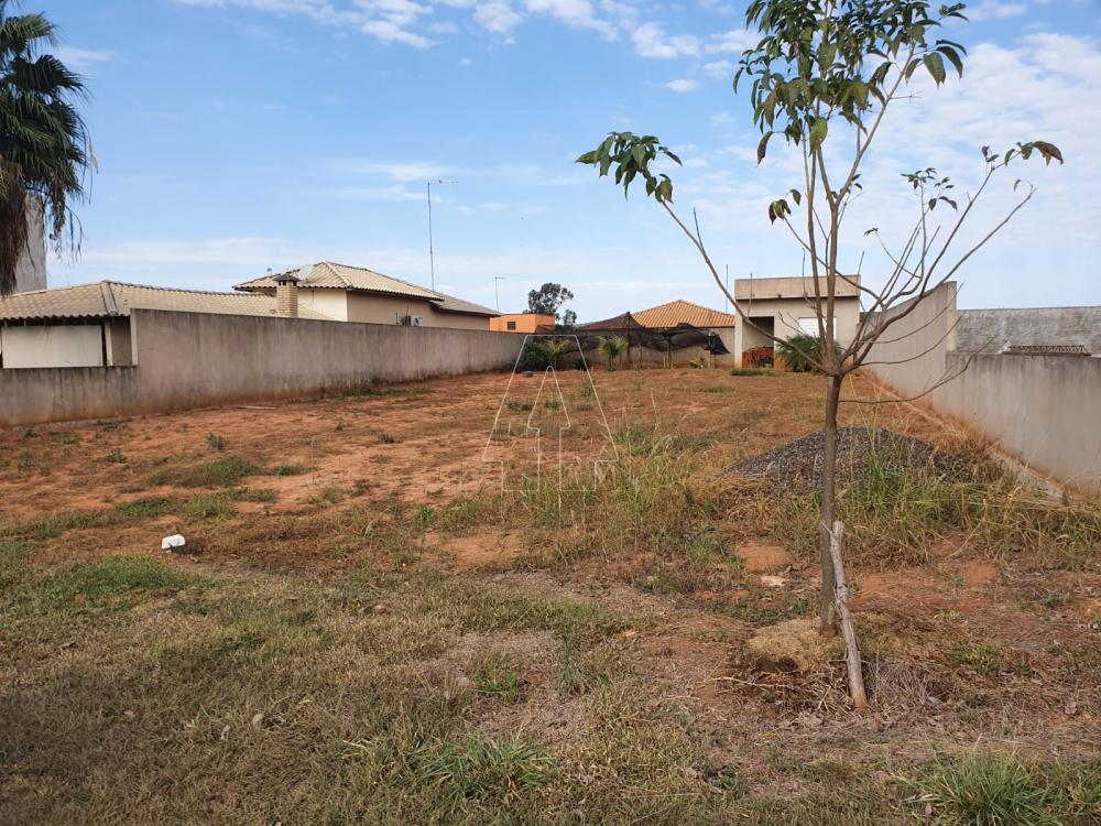 Comprar Terreno / Condomínio em Araçatuba R$ 170.000,00 - Foto 3