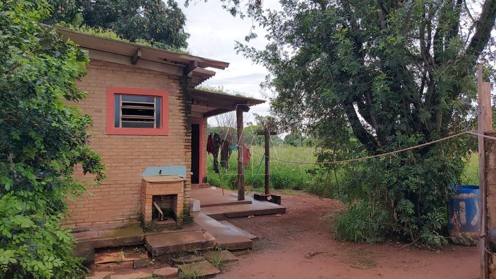 Comprar Rural / Rancho em Araçatuba R$ 2.200.000,00 - Foto 30