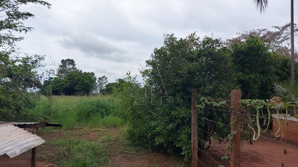 Comprar Rural / Rancho em Araçatuba R$ 2.200.000,00 - Foto 38