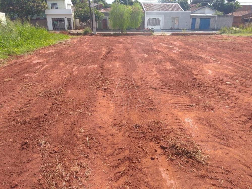 Comprar Terreno / Padrão em Araçatuba R$ 200.000,00 - Foto 1