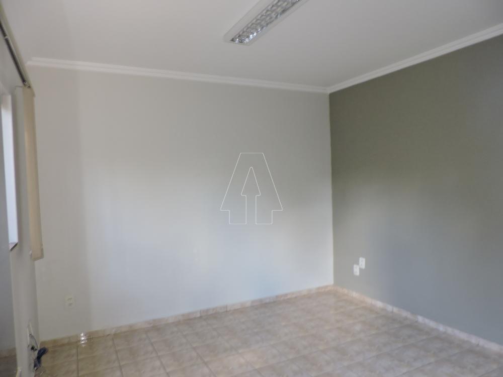 Alugar Casa / Residencial em Araçatuba R$ 1.800,00 - Foto 7