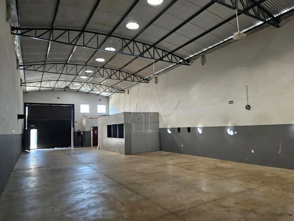 Alugar Comercial / Barracão em Araçatuba R$ 3.000,00 - Foto 3