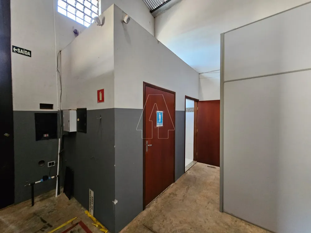 Alugar Comercial / Barracão em Araçatuba R$ 3.000,00 - Foto 11