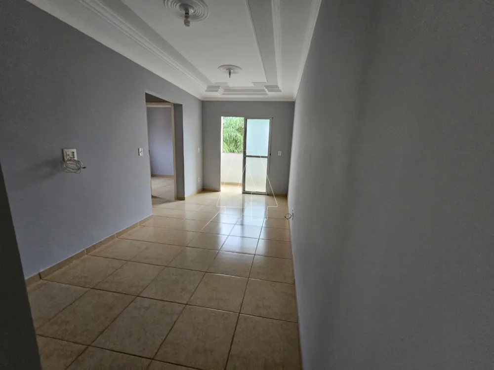 Alugar Apartamento / Padrão em Araçatuba R$ 700,00 - Foto 1