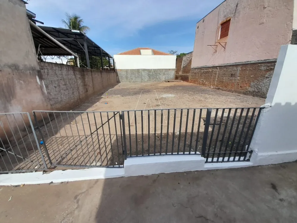 Alugar Casa / Residencial em Araçatuba R$ 1.200,00 - Foto 13