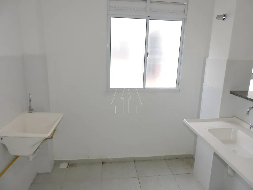 Alugar Apartamento / Padrão em Araçatuba R$ 900,00 - Foto 4