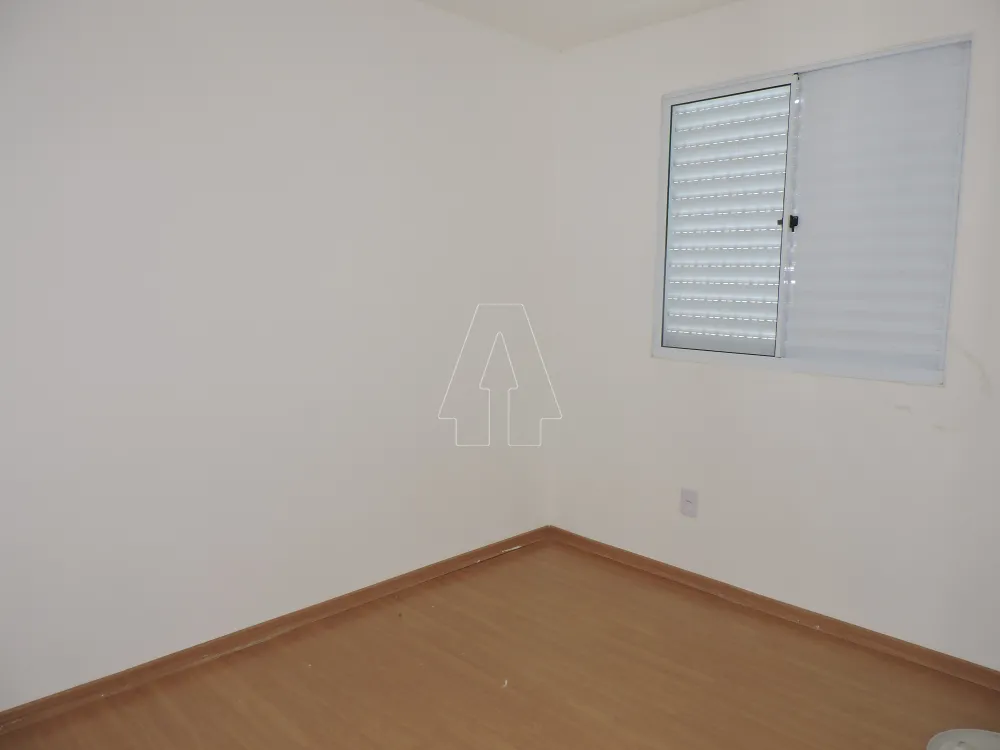 Alugar Apartamento / Padrão em Araçatuba R$ 900,00 - Foto 6