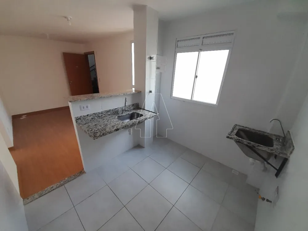 Alugar Apartamento / Padrão em Araçatuba R$ 780,00 - Foto 6