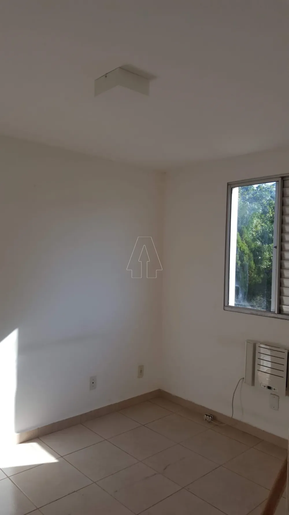 Alugar Apartamento / Padrão em Araçatuba R$ 800,00 - Foto 6