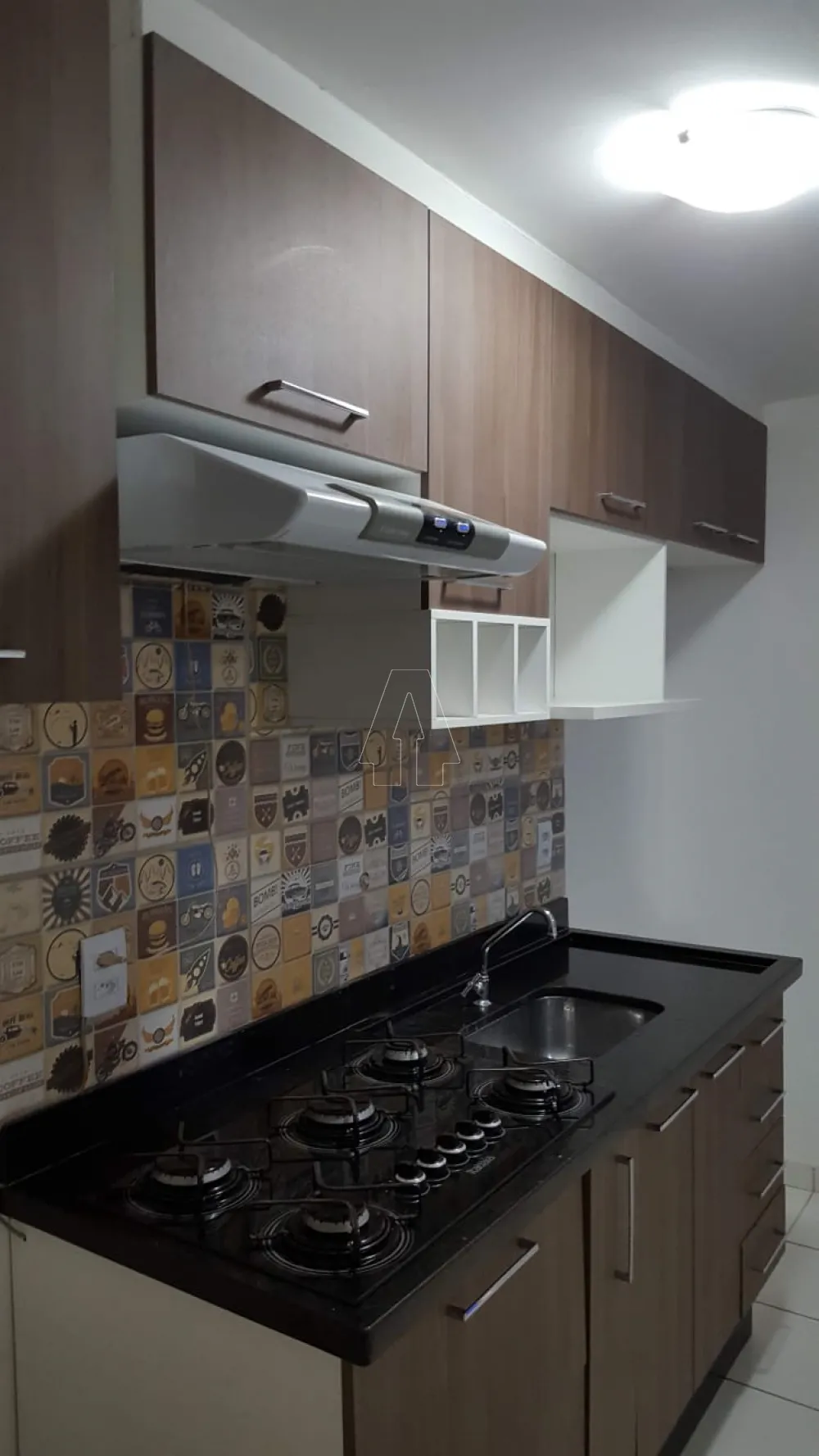 Alugar Apartamento / Padrão em Araçatuba R$ 800,00 - Foto 4