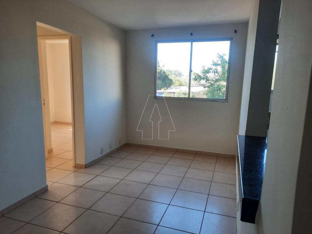 Alugar Apartamento / Padrão em Araçatuba R$ 850,00 - Foto 6