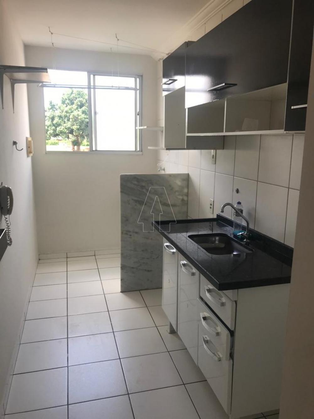 Alugar Apartamento / Padrão em Araçatuba R$ 850,00 - Foto 5