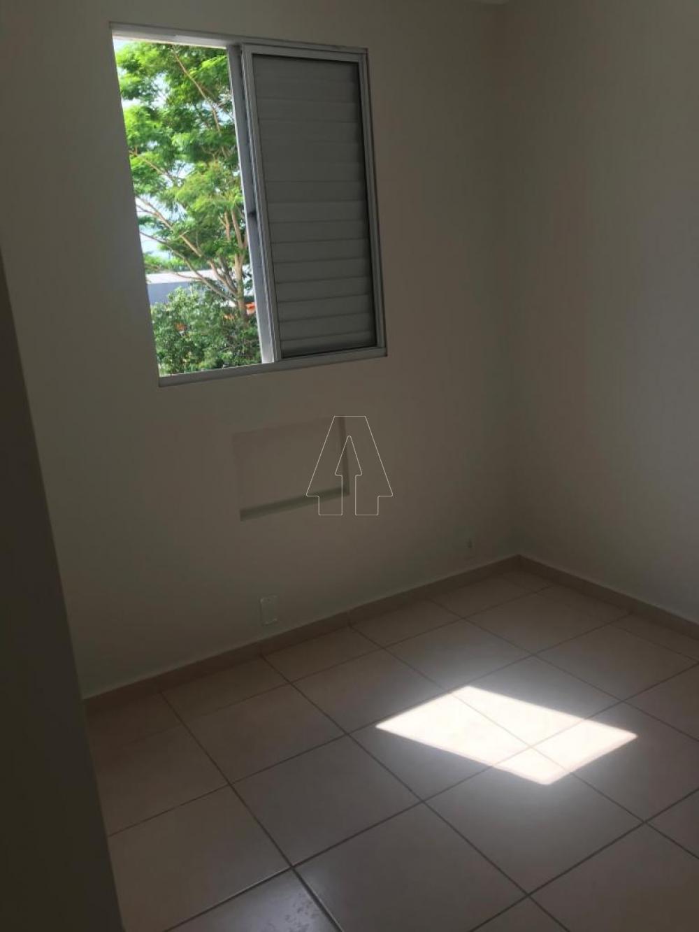 Alugar Apartamento / Padrão em Araçatuba R$ 850,00 - Foto 9