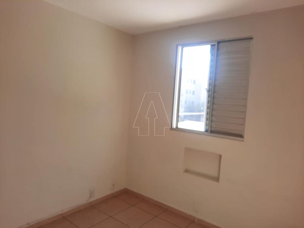 Alugar Apartamento / Padrão em Araçatuba R$ 850,00 - Foto 8