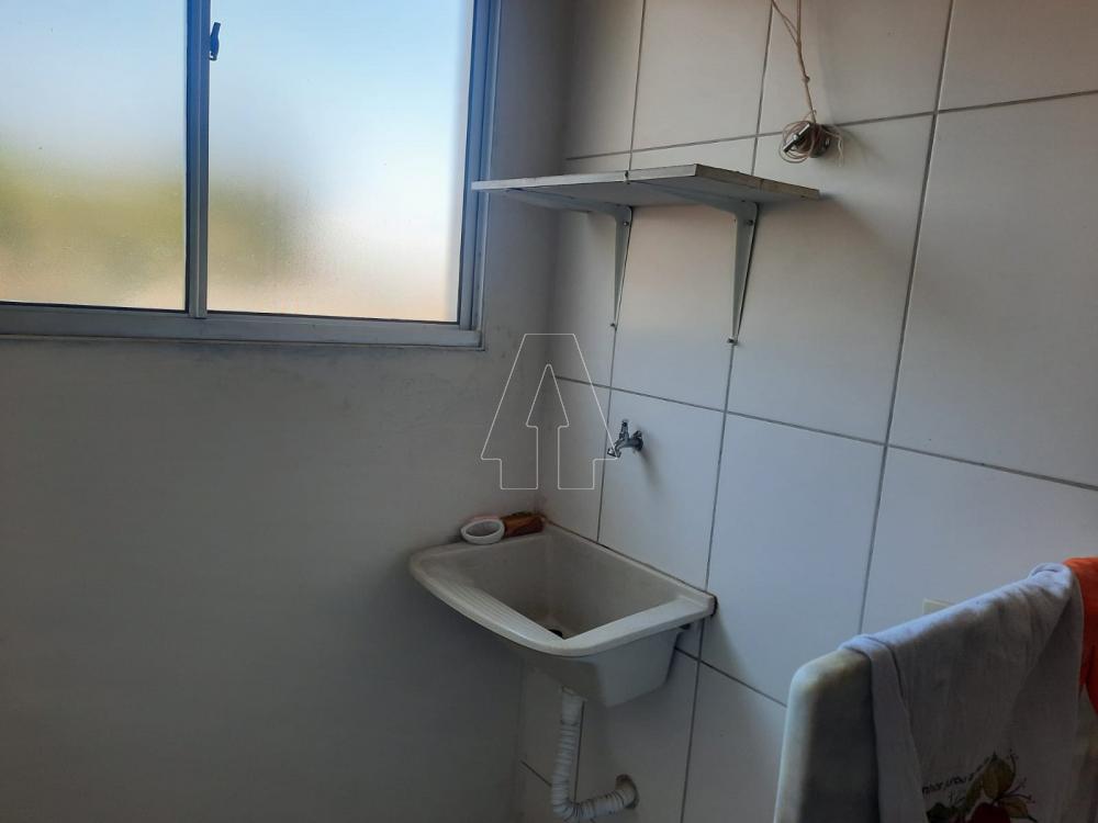 Alugar Apartamento / Padrão em Araçatuba R$ 850,00 - Foto 12