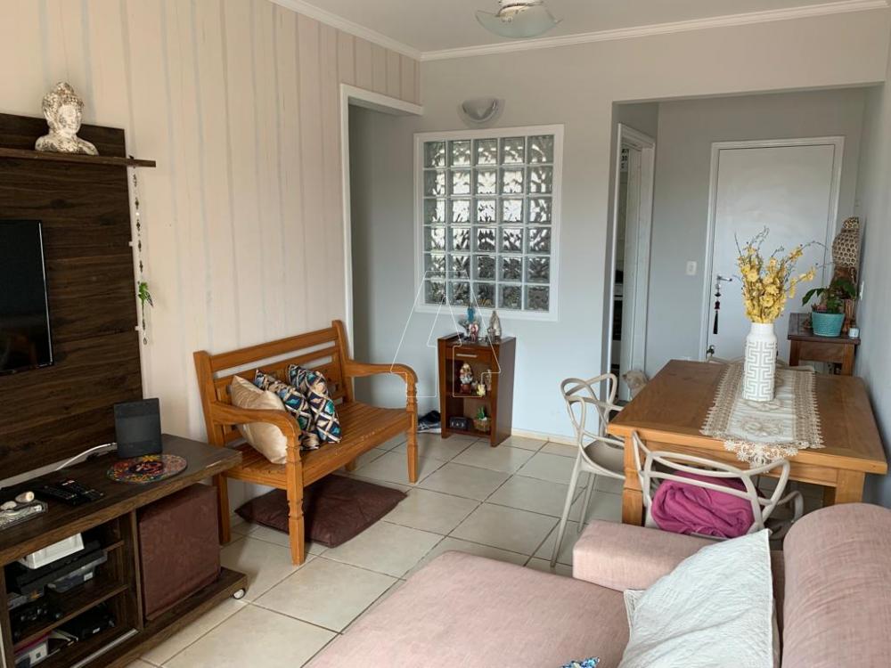 Alugar Apartamento / Padrão em Araçatuba R$ 1.460,00 - Foto 1