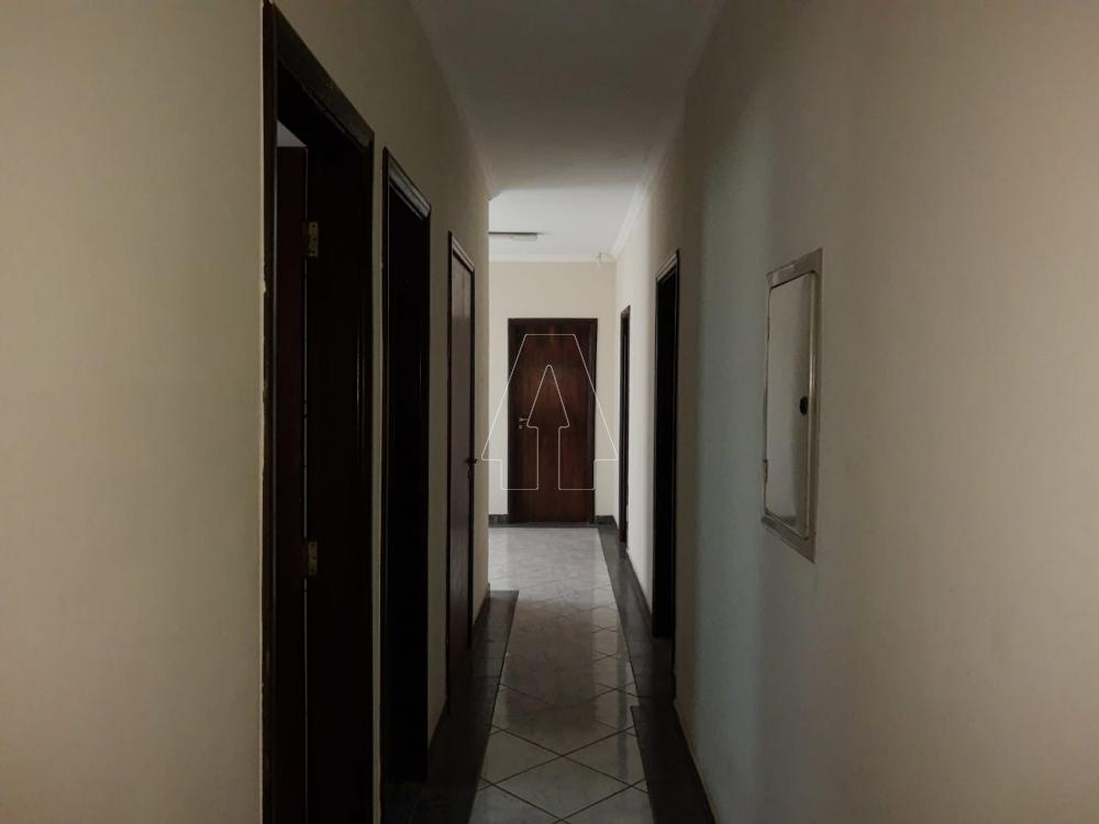 Alugar Comercial / Casa em Araçatuba R$ 4.000,00 - Foto 4