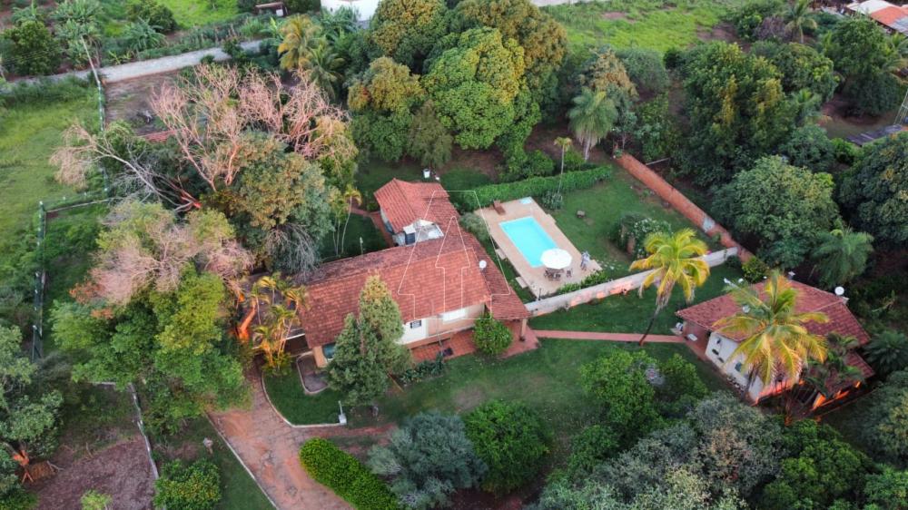 Comprar Rural / Chácara em Araçatuba R$ 870.000,00 - Foto 1