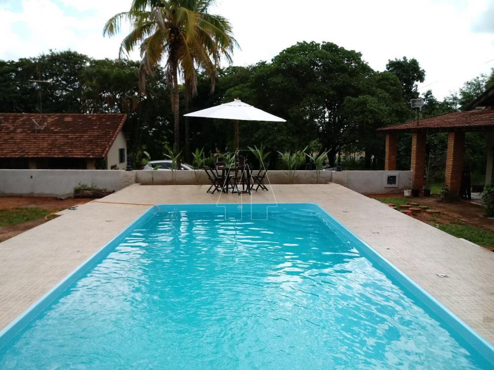 Comprar Rural / Chácara em Araçatuba R$ 870.000,00 - Foto 9