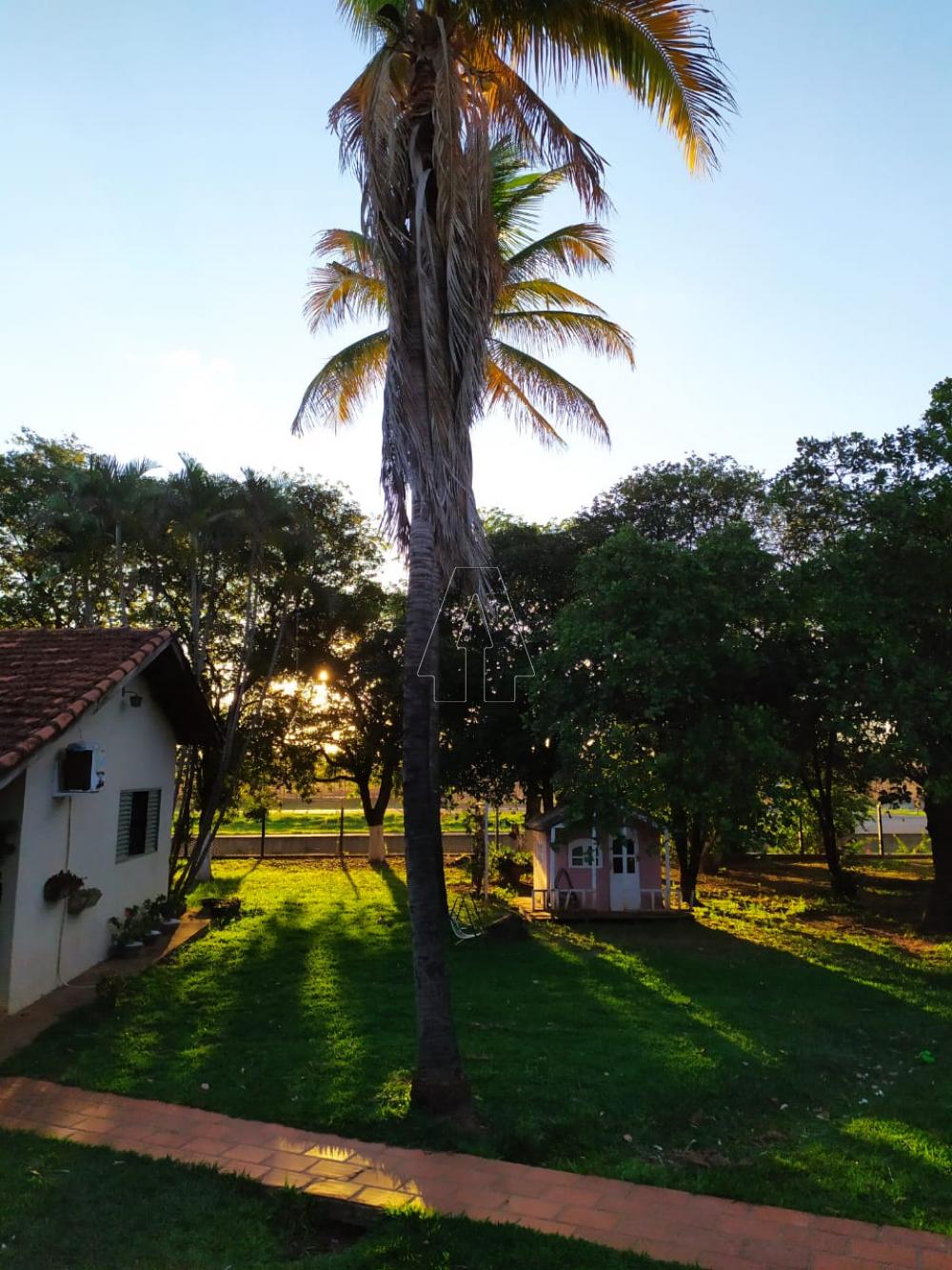 Comprar Rural / Chácara em Araçatuba R$ 870.000,00 - Foto 11