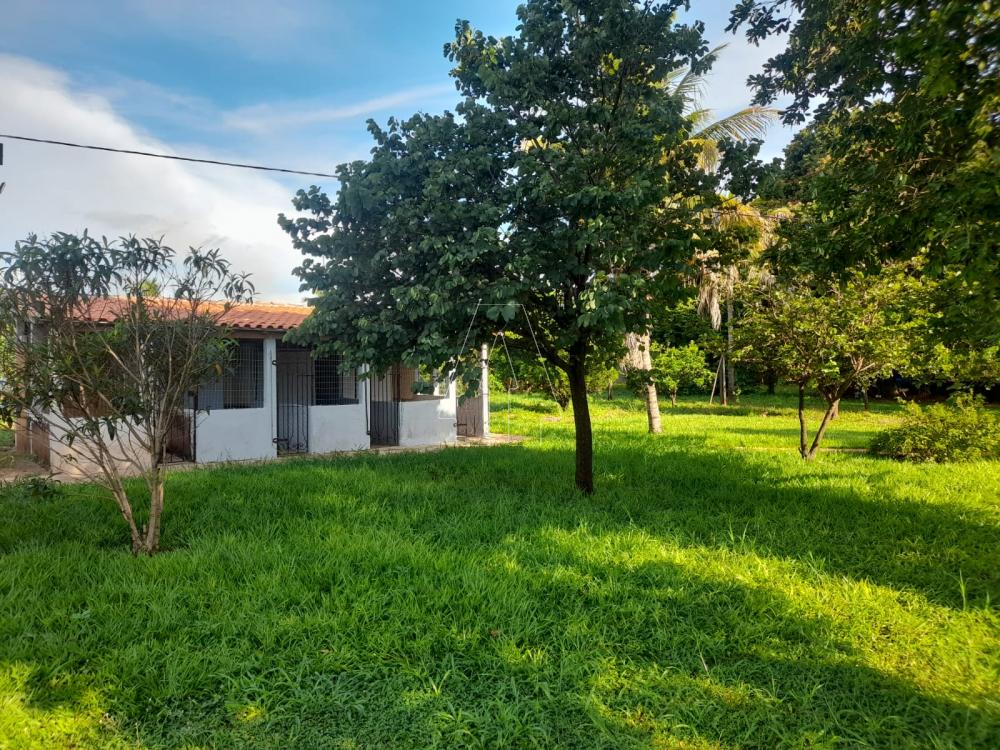 Comprar Rural / Chácara em Araçatuba R$ 870.000,00 - Foto 12