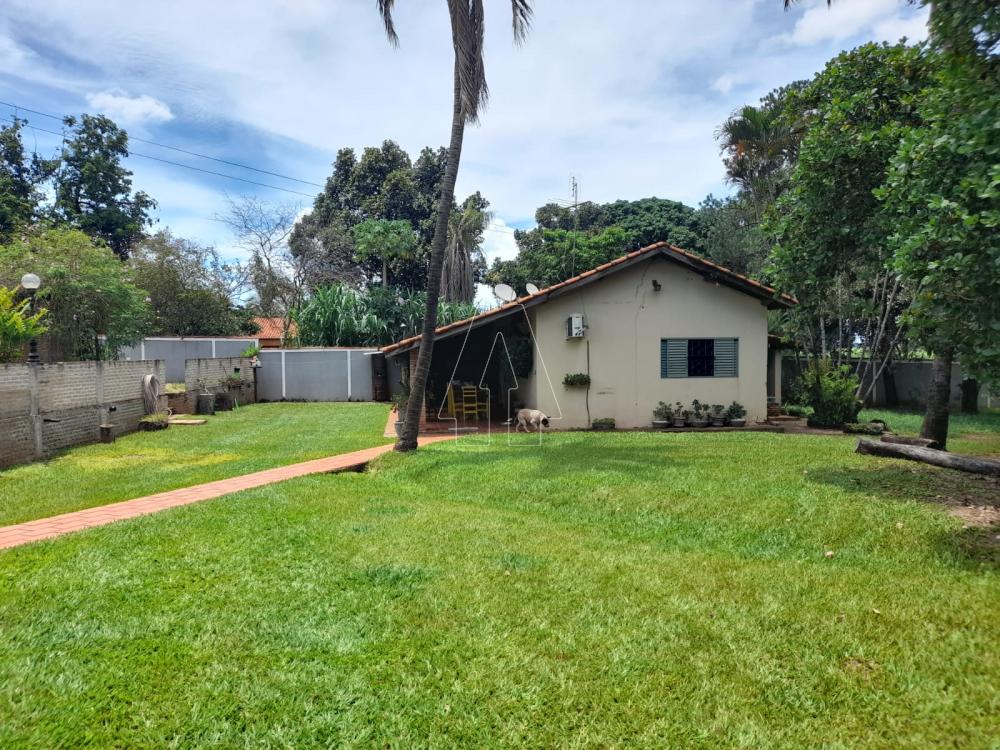 Comprar Rural / Chácara em Araçatuba R$ 870.000,00 - Foto 14