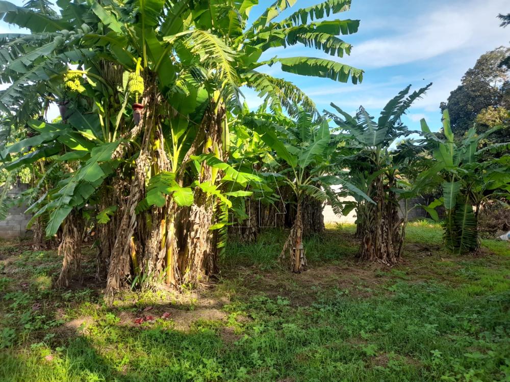 Comprar Rural / Chácara em Araçatuba R$ 870.000,00 - Foto 17