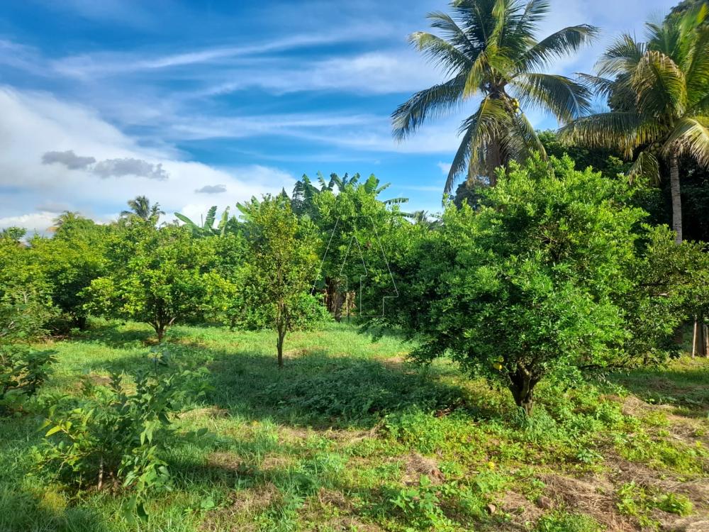 Comprar Rural / Chácara em Araçatuba R$ 870.000,00 - Foto 18