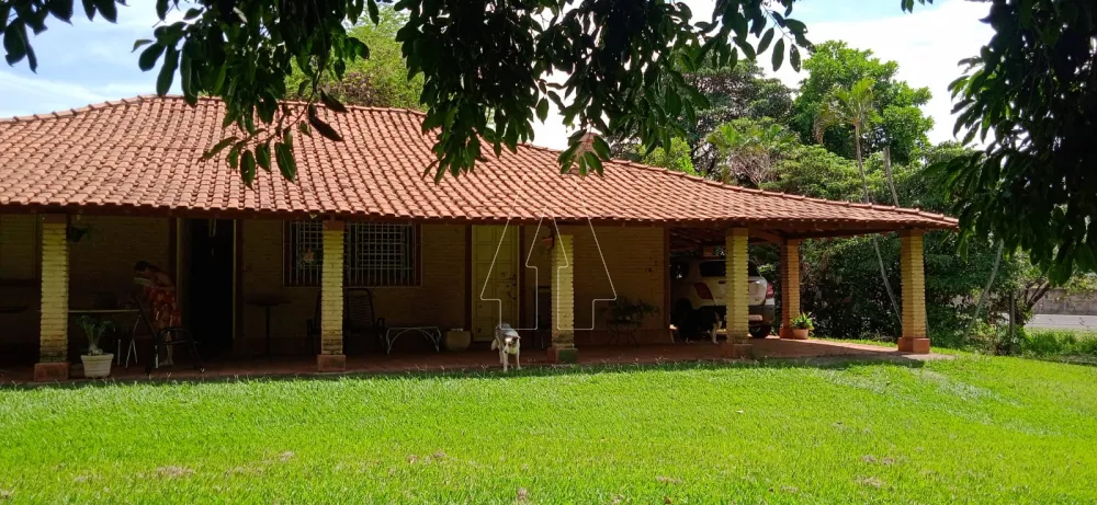 Comprar Rural / Chácara em Araçatuba - Foto 2