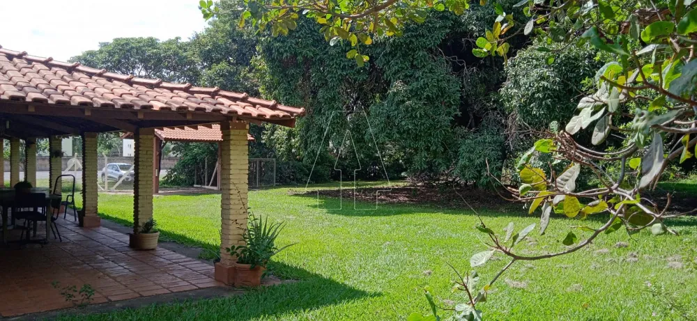 Comprar Rural / Chácara em Araçatuba - Foto 4