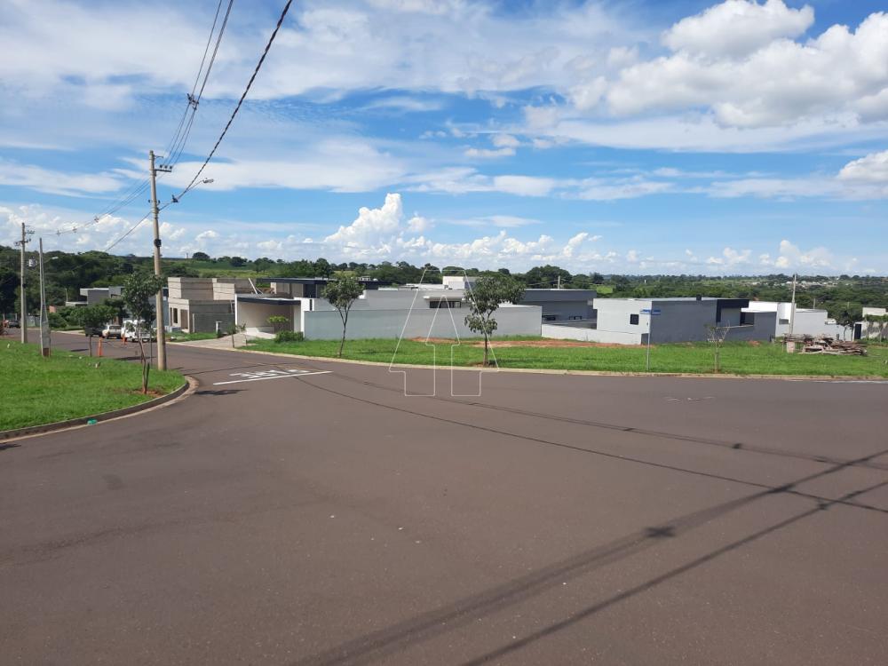 Comprar Terreno / Condomínio em Araçatuba R$ 420.000,00 - Foto 1