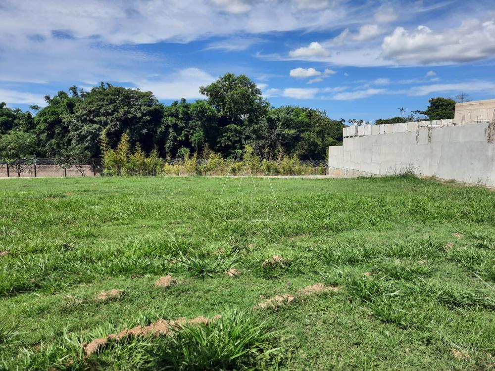 Comprar Terreno / Condomínio em Araçatuba R$ 420.000,00 - Foto 5