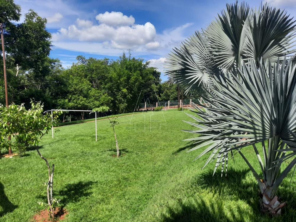 Comprar Terreno / Condomínio em Araçatuba R$ 420.000,00 - Foto 6