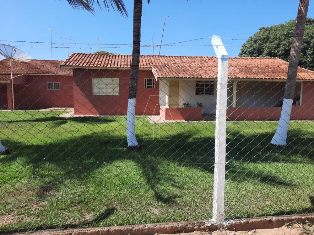 Comprar Rural / Chácara em Araçatuba R$ 1.000.000,00 - Foto 14