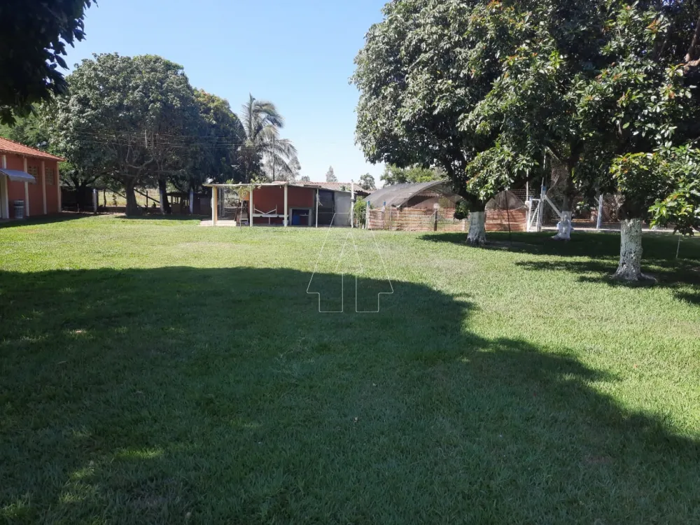 Comprar Rural / Chácara em Araçatuba R$ 1.000.000,00 - Foto 20