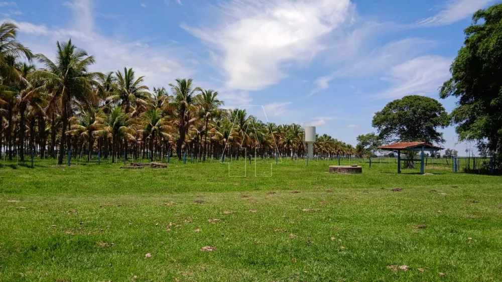 Comprar Rural / Sítio em Araçatuba - Foto 3