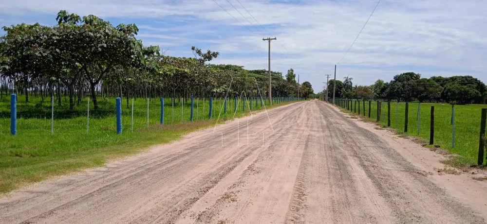 Comprar Rural / Sítio em Araçatuba - Foto 18