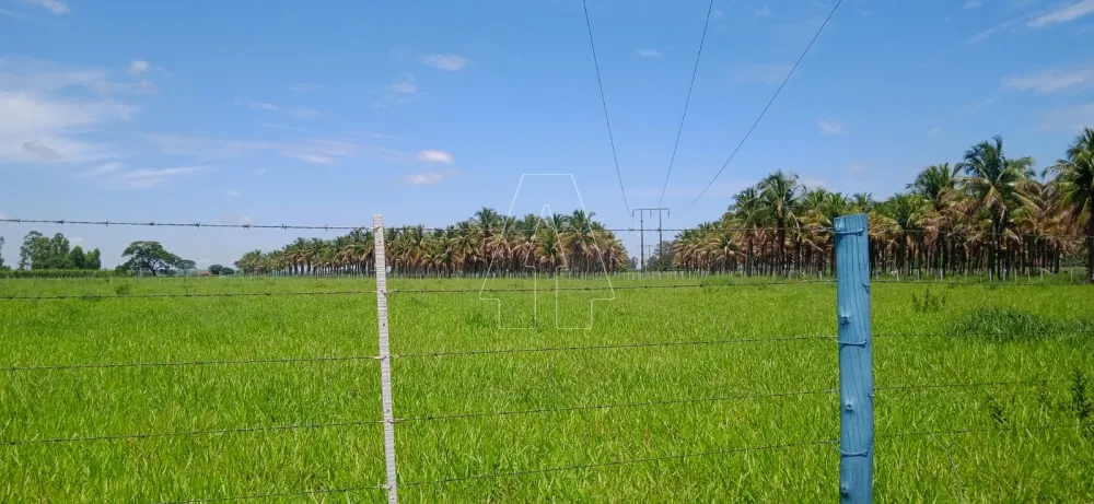 Comprar Rural / Sítio em Araçatuba - Foto 20