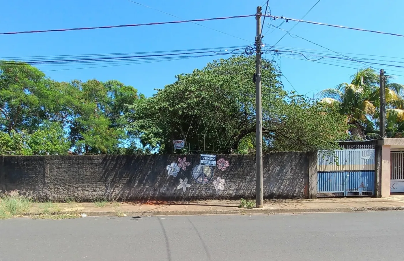 Comprar Terreno / Padrão em Araçatuba R$ 175.000,00 - Foto 1