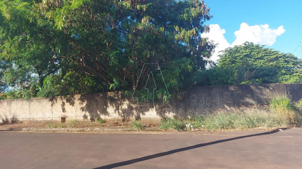 Comprar Terreno / Padrão em Araçatuba R$ 175.000,00 - Foto 4