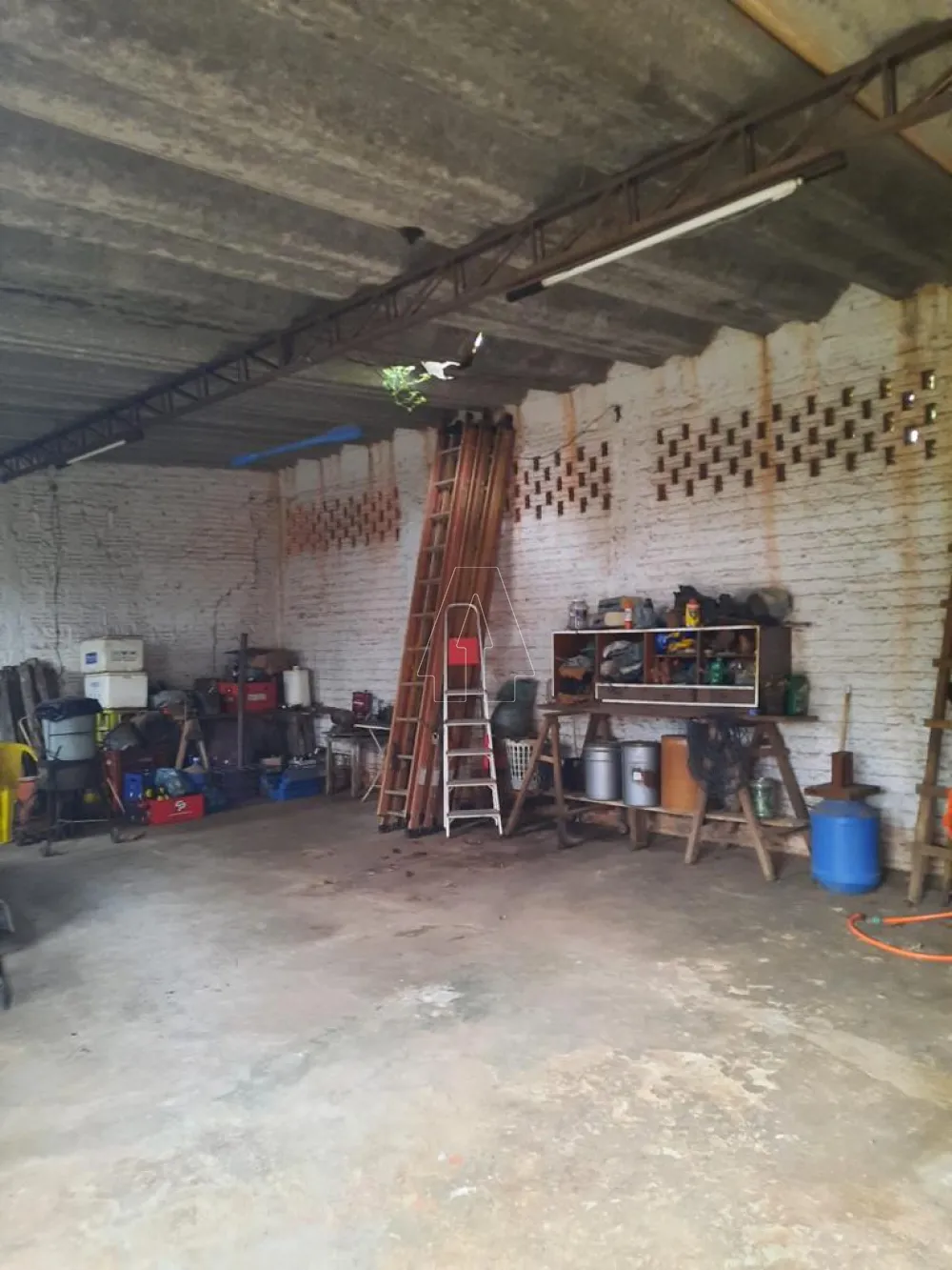 Comprar Rural / Chácara em ARAÇATUBA R$ 350.000,00 - Foto 12