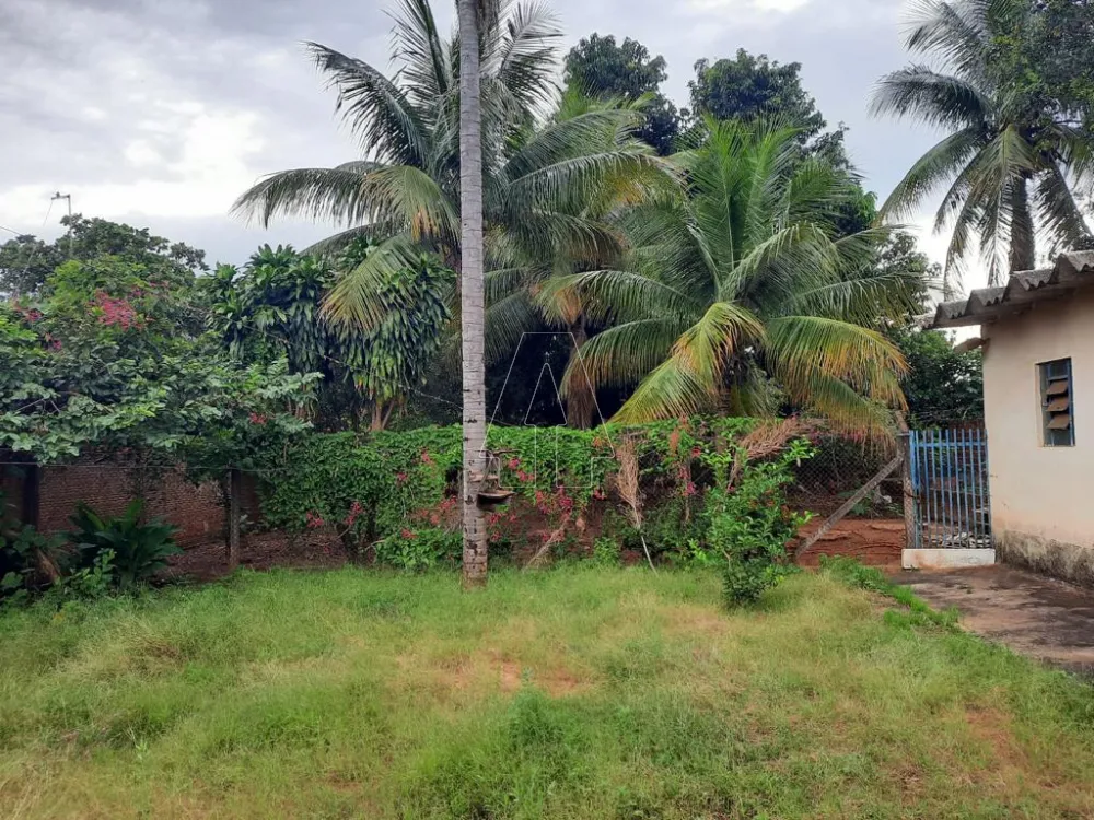 Comprar Rural / Chácara em ARAÇATUBA R$ 350.000,00 - Foto 13