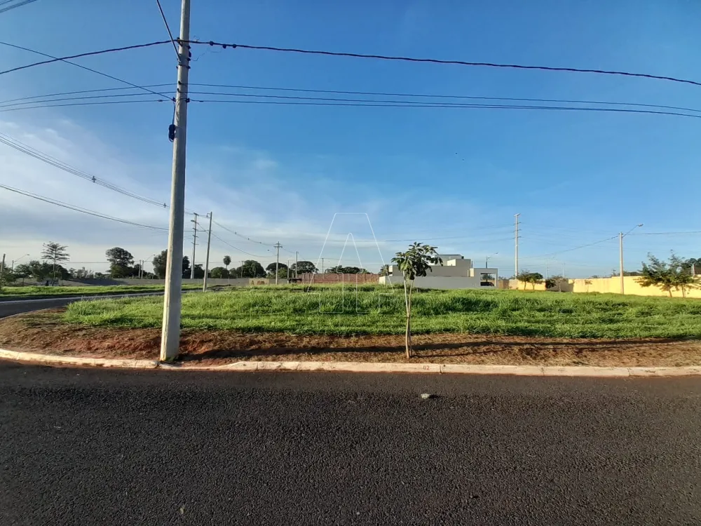 Comprar Terreno / Condomínio em Araçatuba R$ 100.000,00 - Foto 1