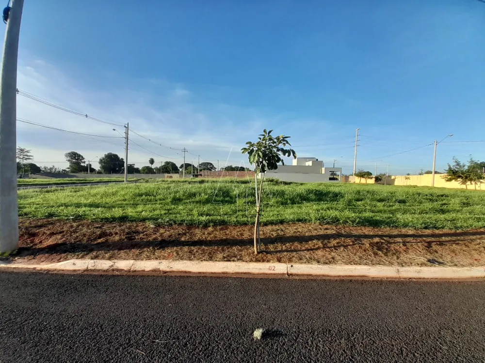 Comprar Terreno / Condomínio em Araçatuba R$ 100.000,00 - Foto 2