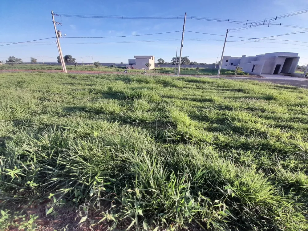 Comprar Terreno / Condomínio em Araçatuba R$ 100.000,00 - Foto 3