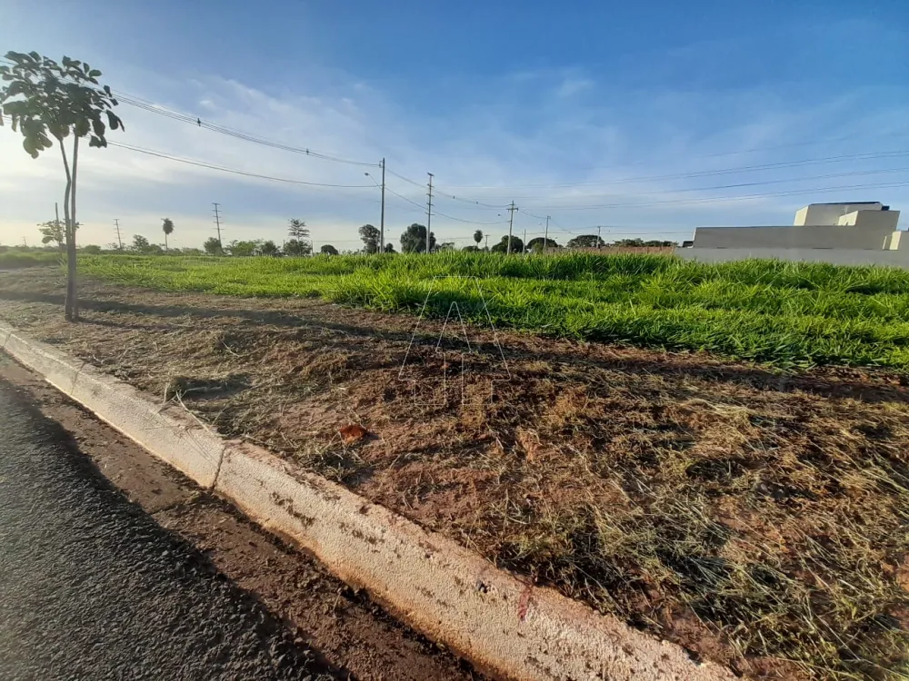 Comprar Terreno / Condomínio em Araçatuba R$ 100.000,00 - Foto 4