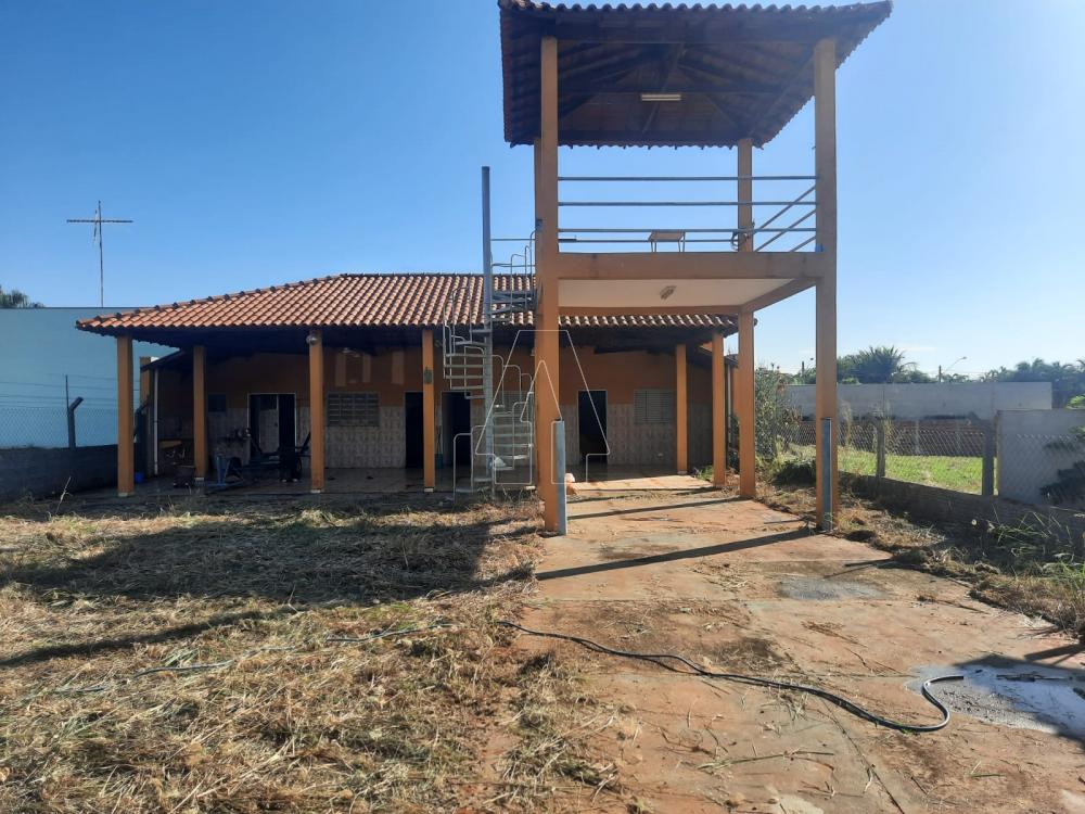 Alugar Rural / Rancho Condomínio em Araçatuba R$ 1.100,00 - Foto 2