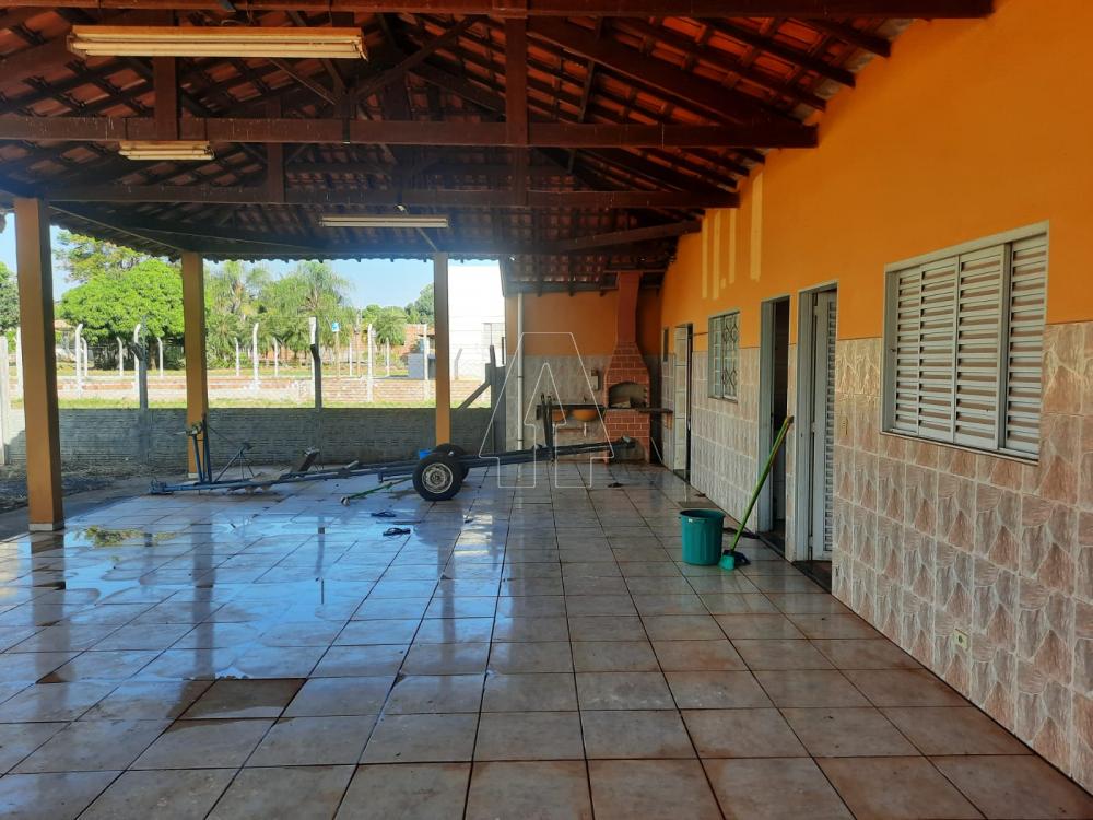 Alugar Rural / Rancho Condomínio em Araçatuba R$ 1.100,00 - Foto 12